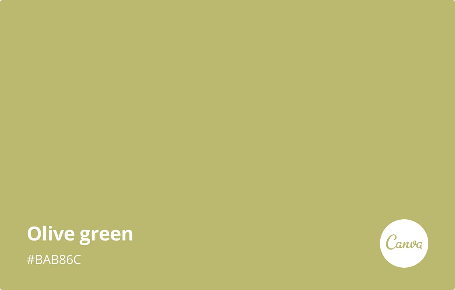 What Colours Go With Olive Green Pants Chic Outfit Ideas